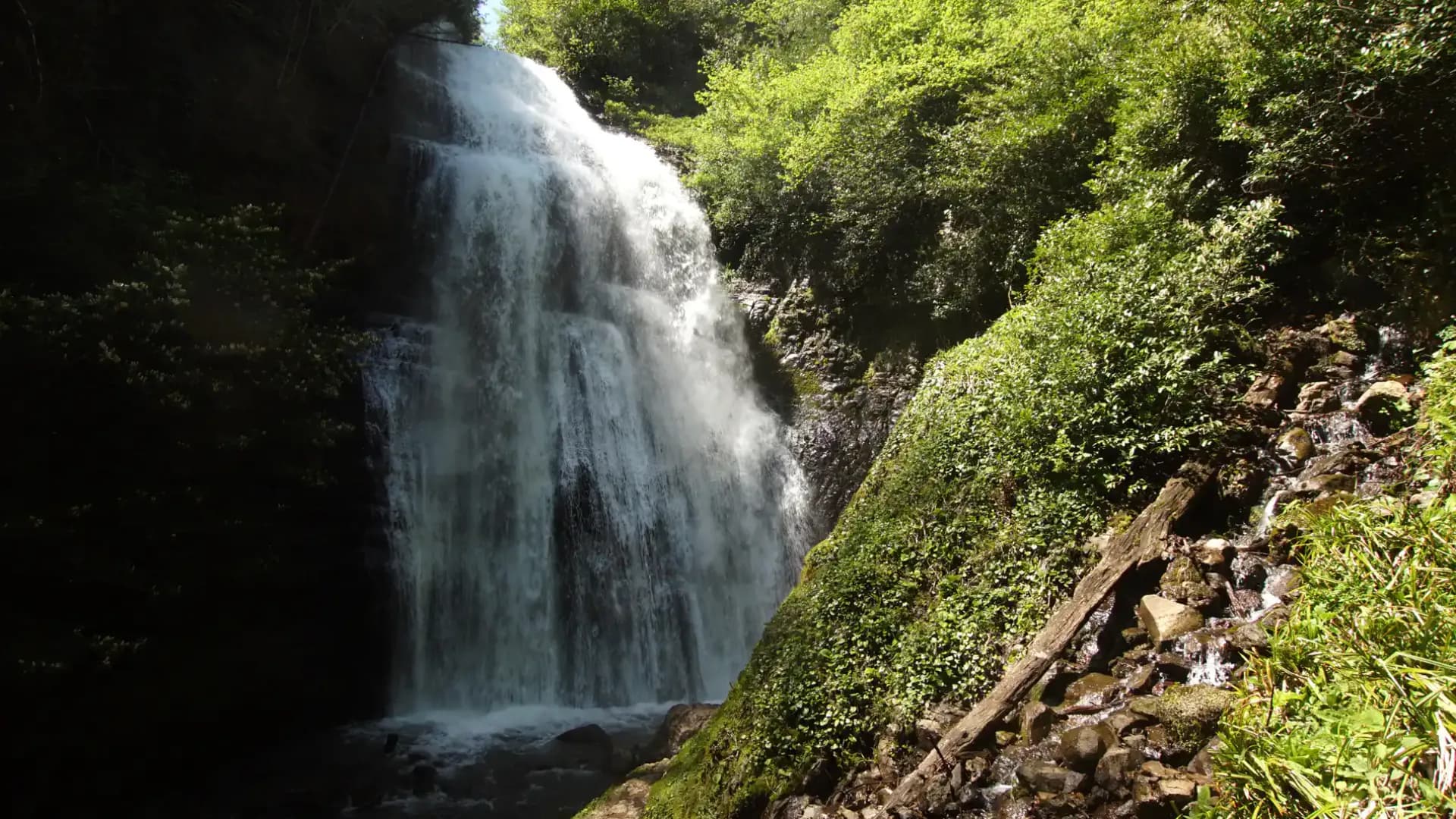 Изображение услуги5