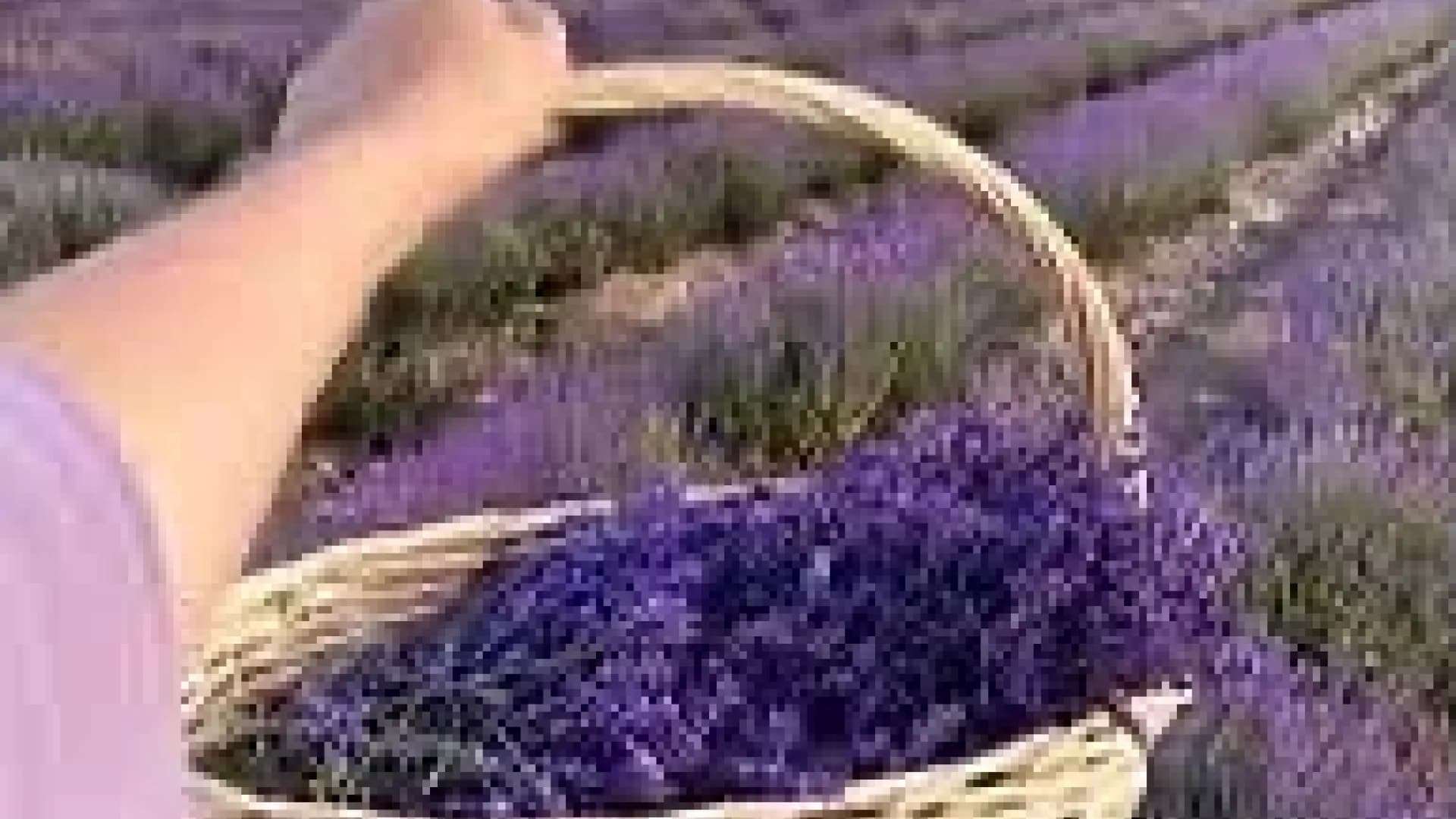 Изображение услуги3