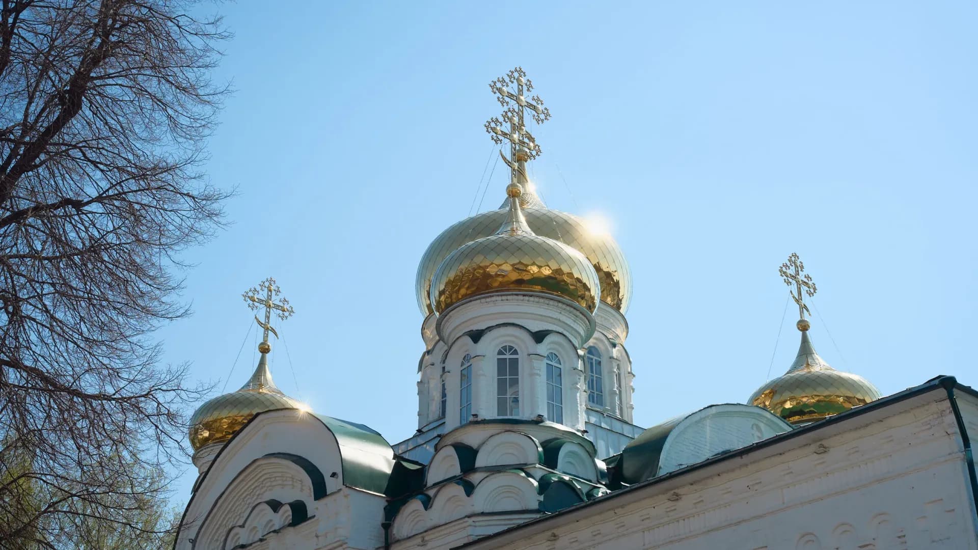 Изображение услуги5