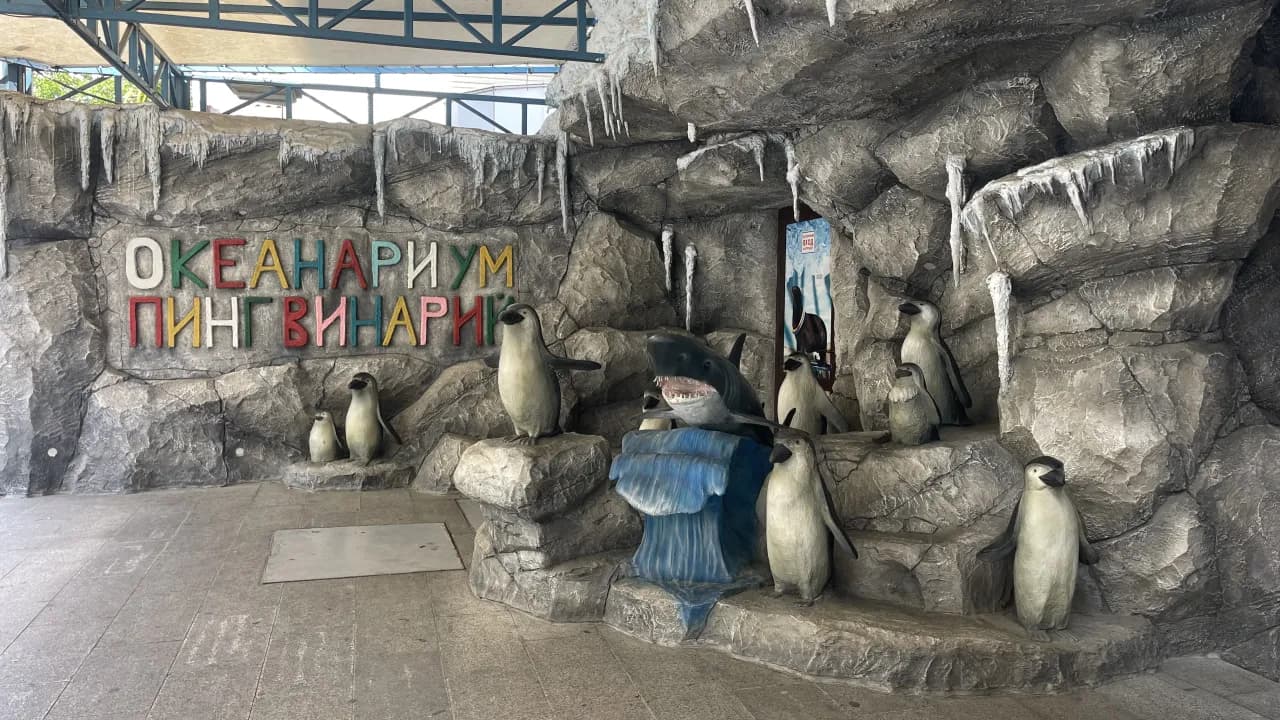 Изображение услуги5