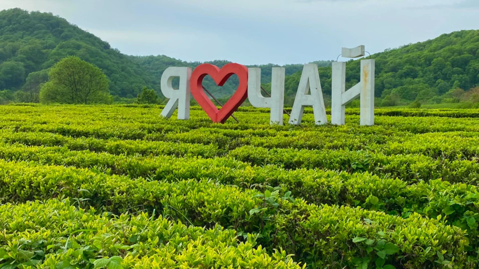 Изображение услуги1