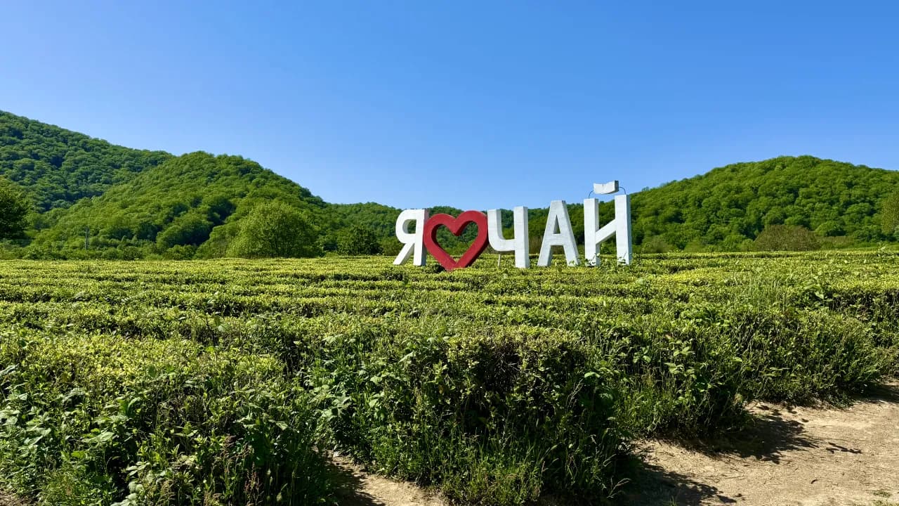 Изображение услуги2