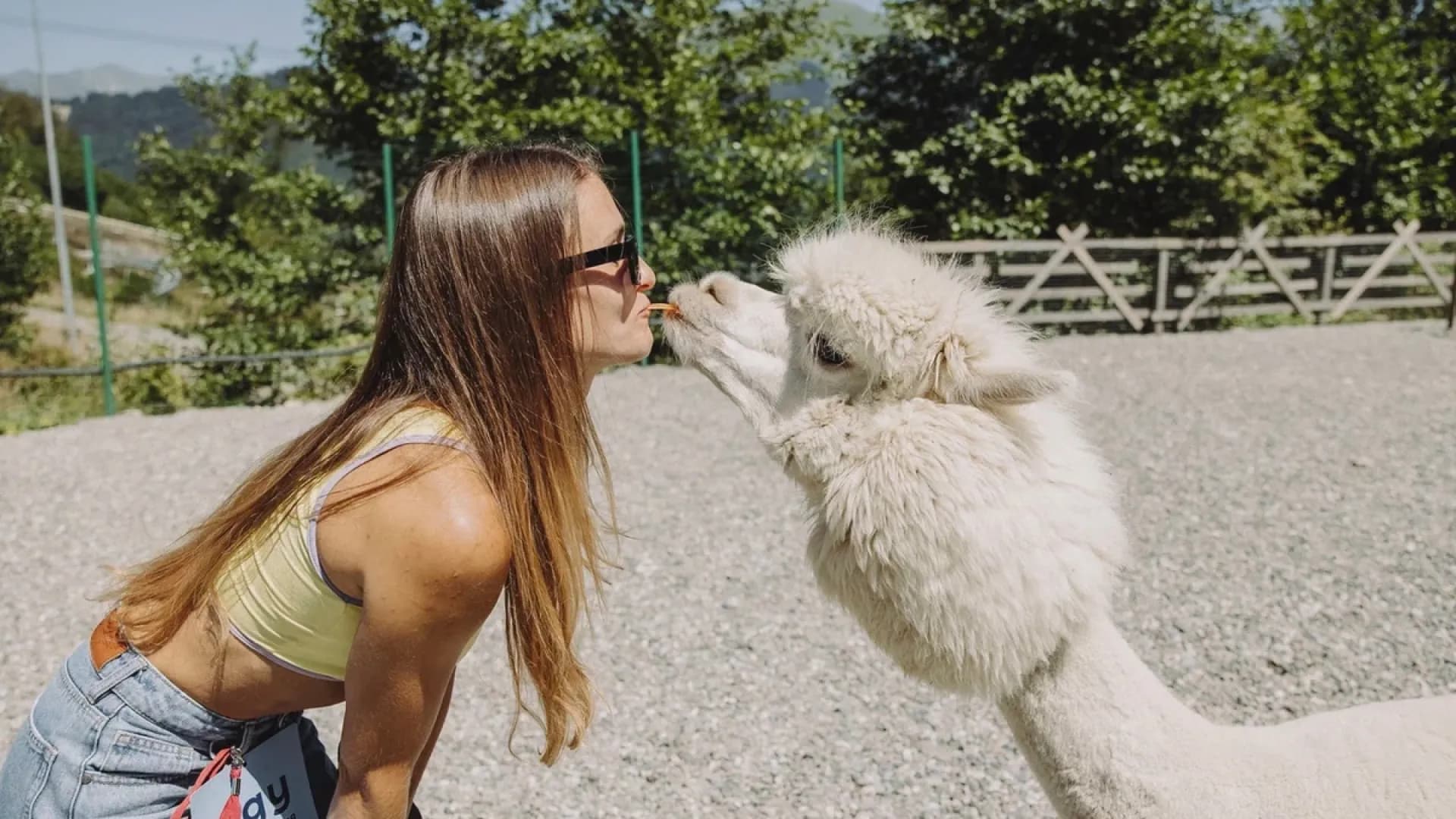 Изображение услуги14