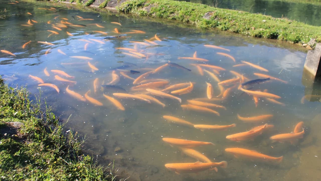 Изображение услуги8