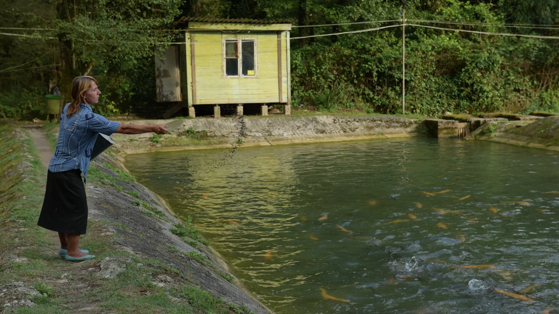 Изображение услуги10