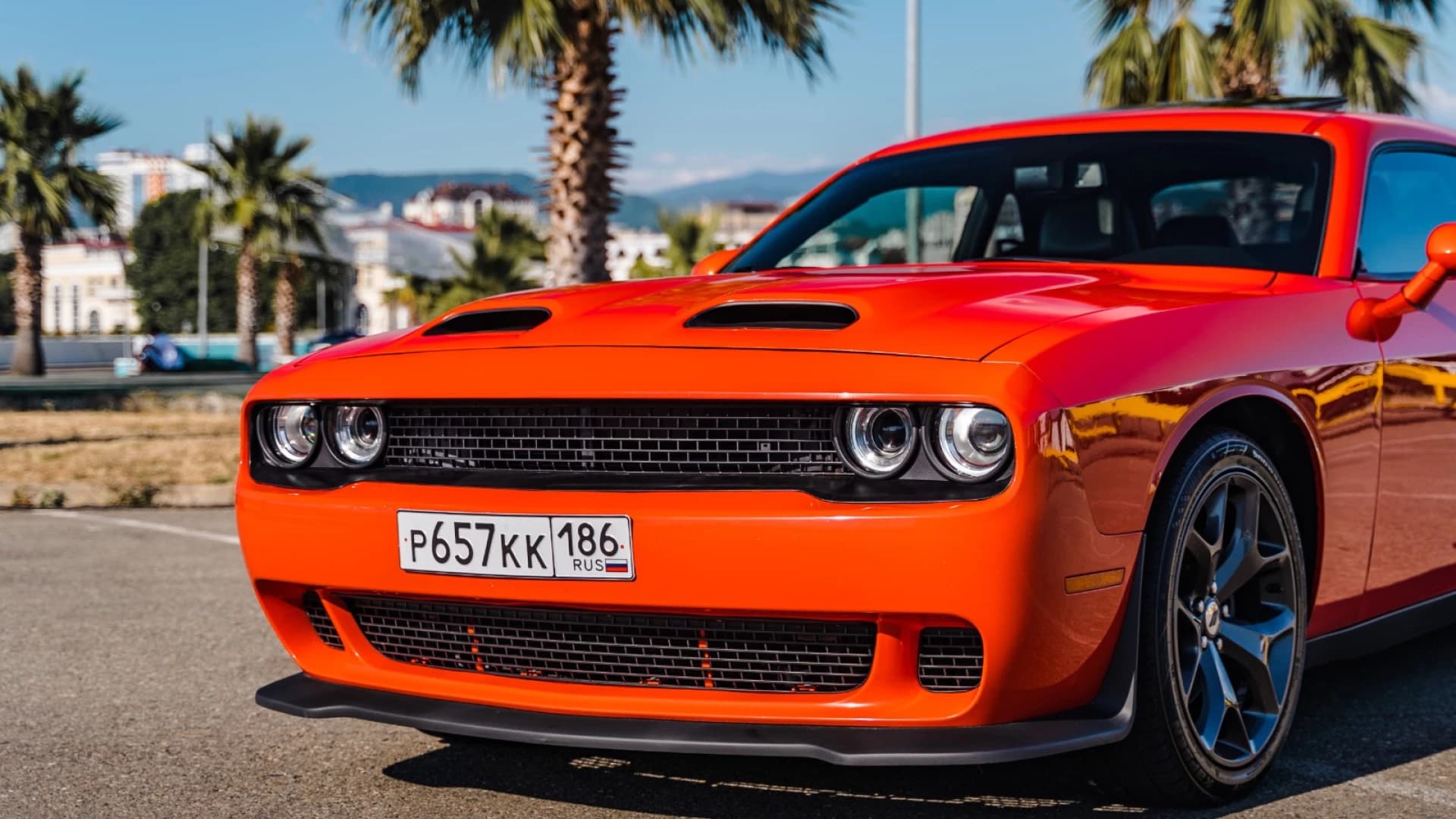 Фото услуги Прокат Dodge Challenger - красный спорткар в Сочи