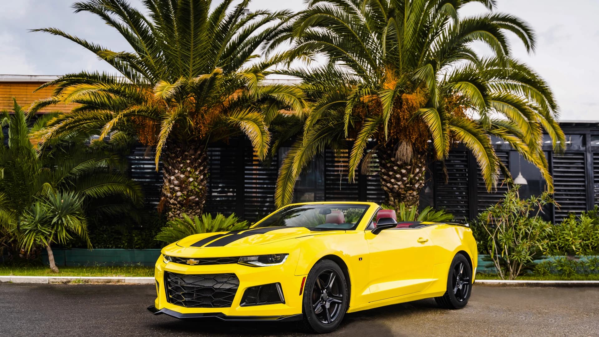 Фото услуги Аренда желтого Chevrolet Camaro ZL1 Бамблби в Сочи