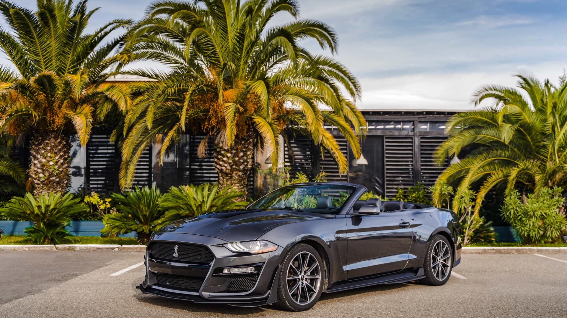 Аренда серого кабриолета Ford Mustang Shelby в Сочи