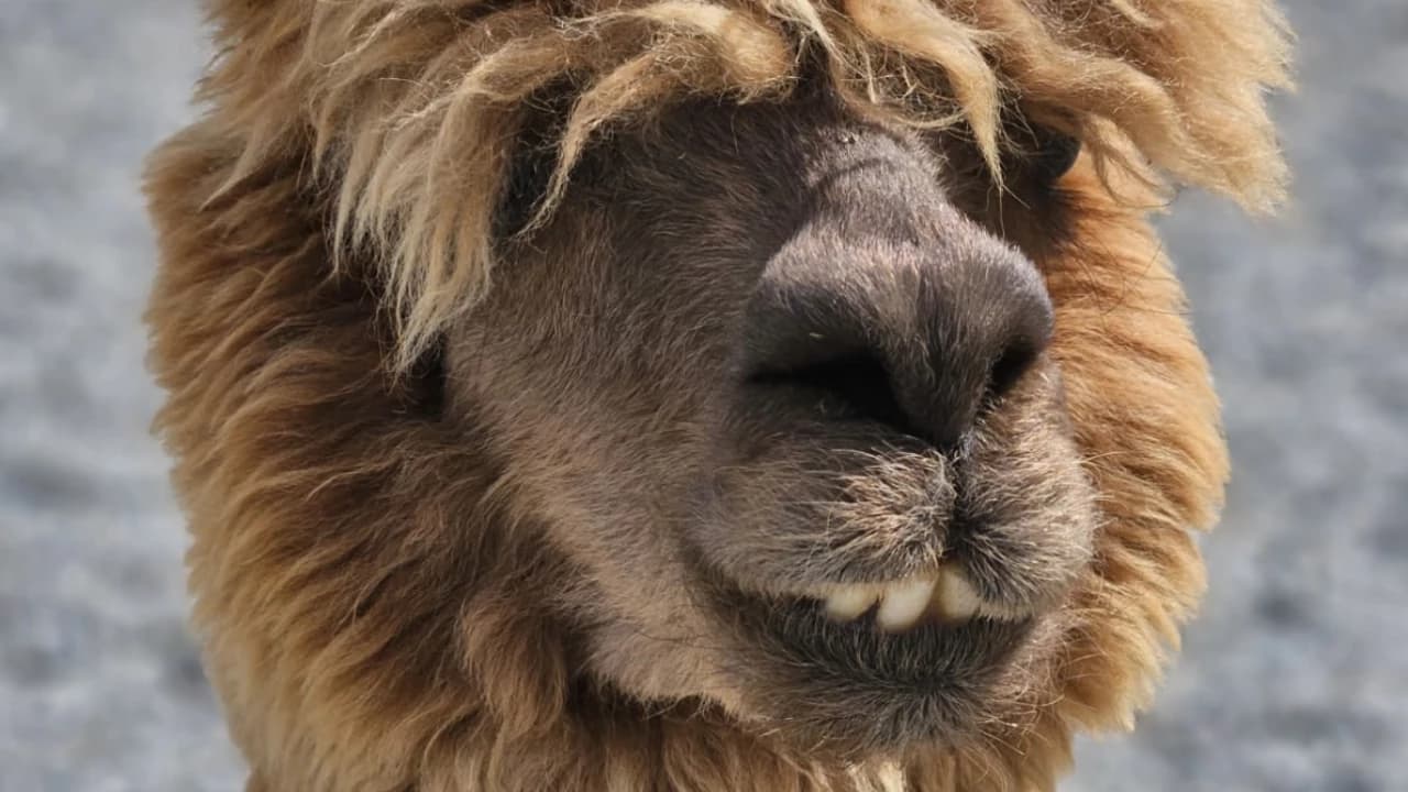 Изображение услуги1