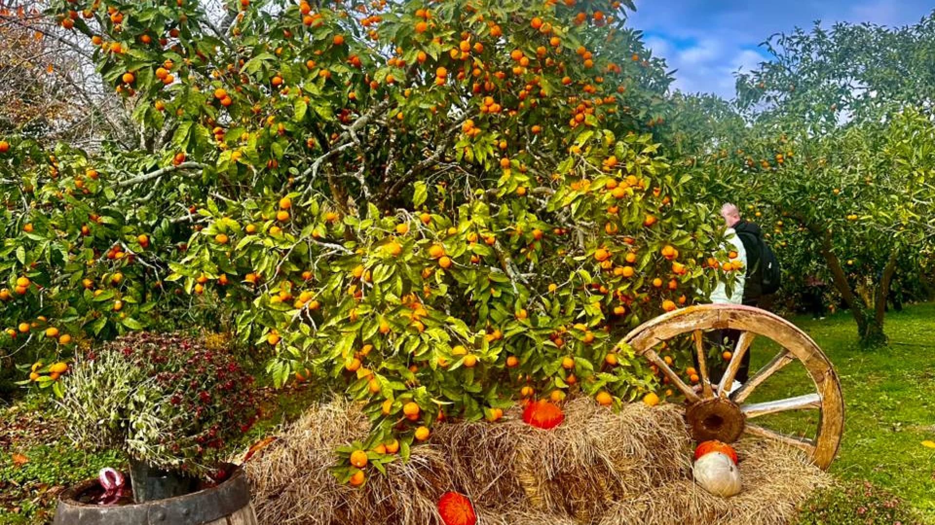 Изображение услуги2