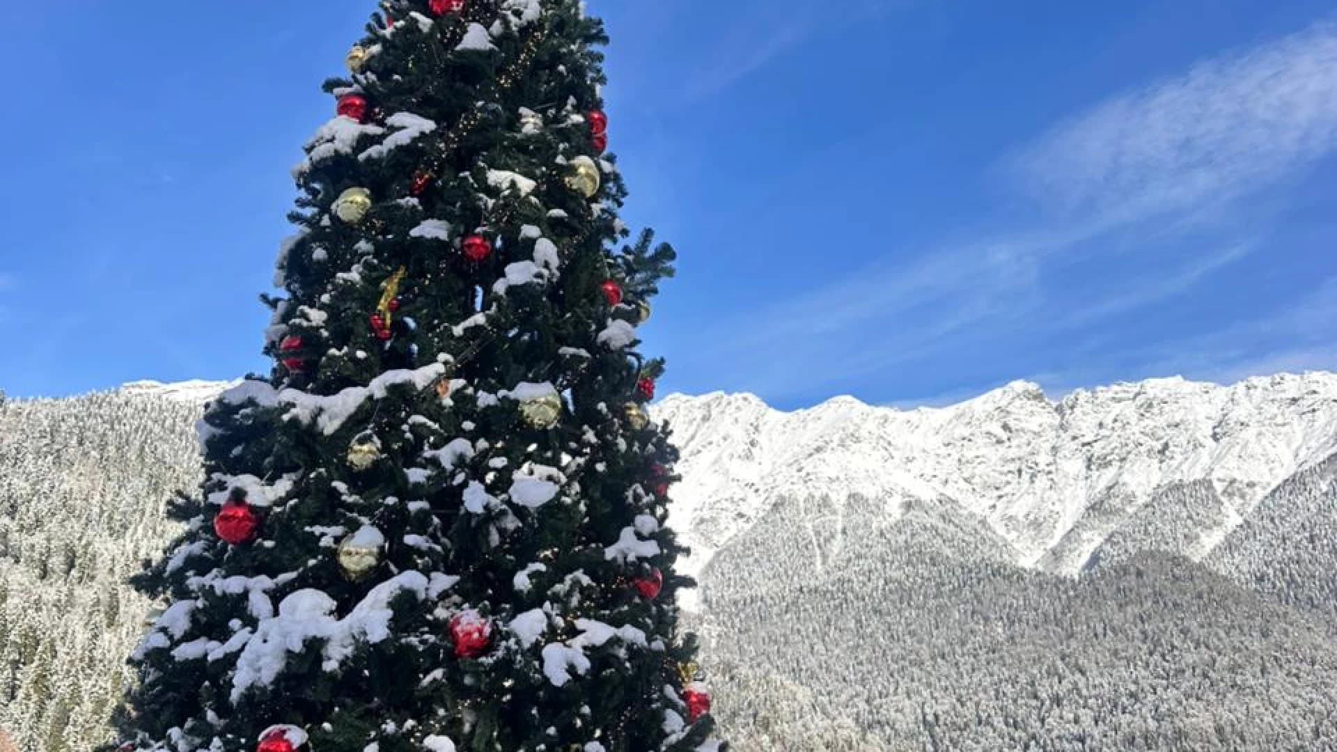 Изображение услуги9