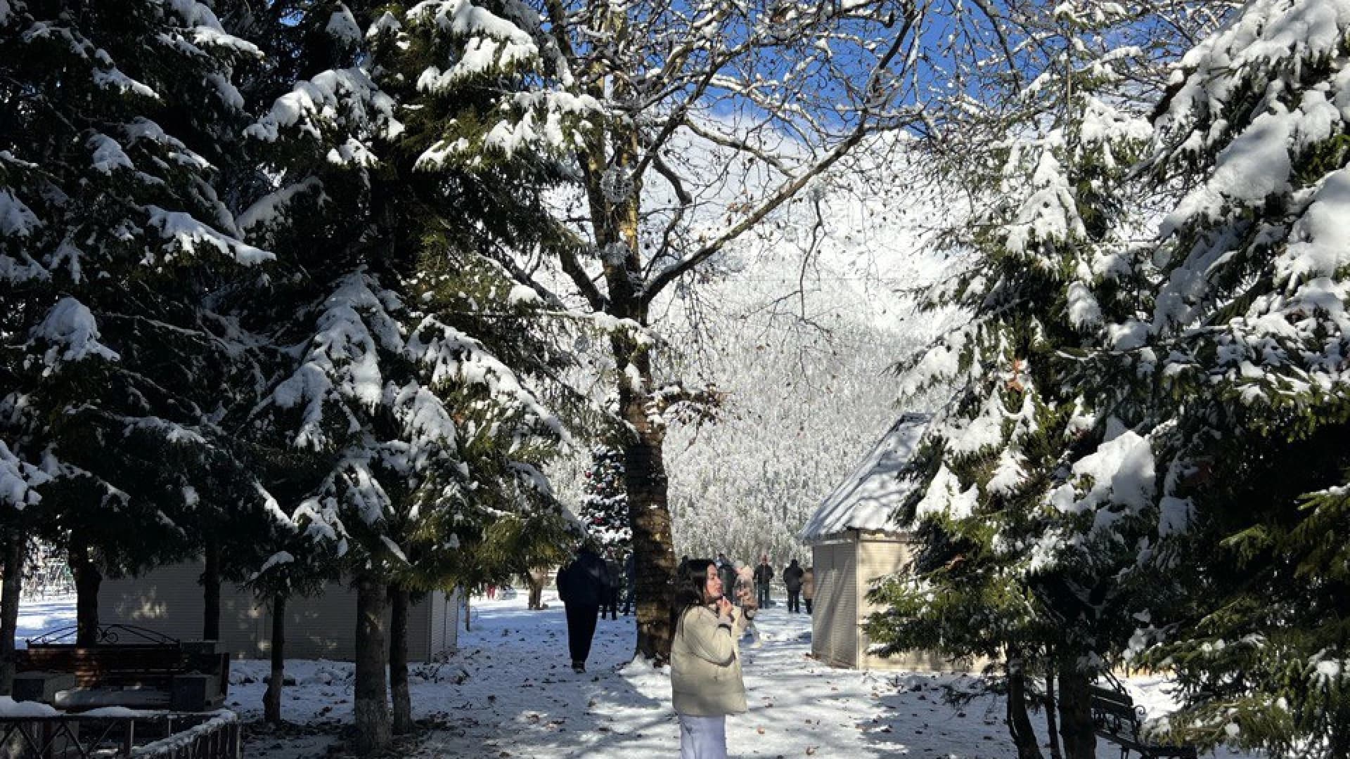 Изображение услуги11