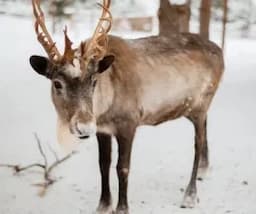Добро пожаловать в миф