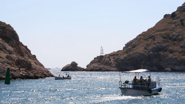 фото транспорта 1926