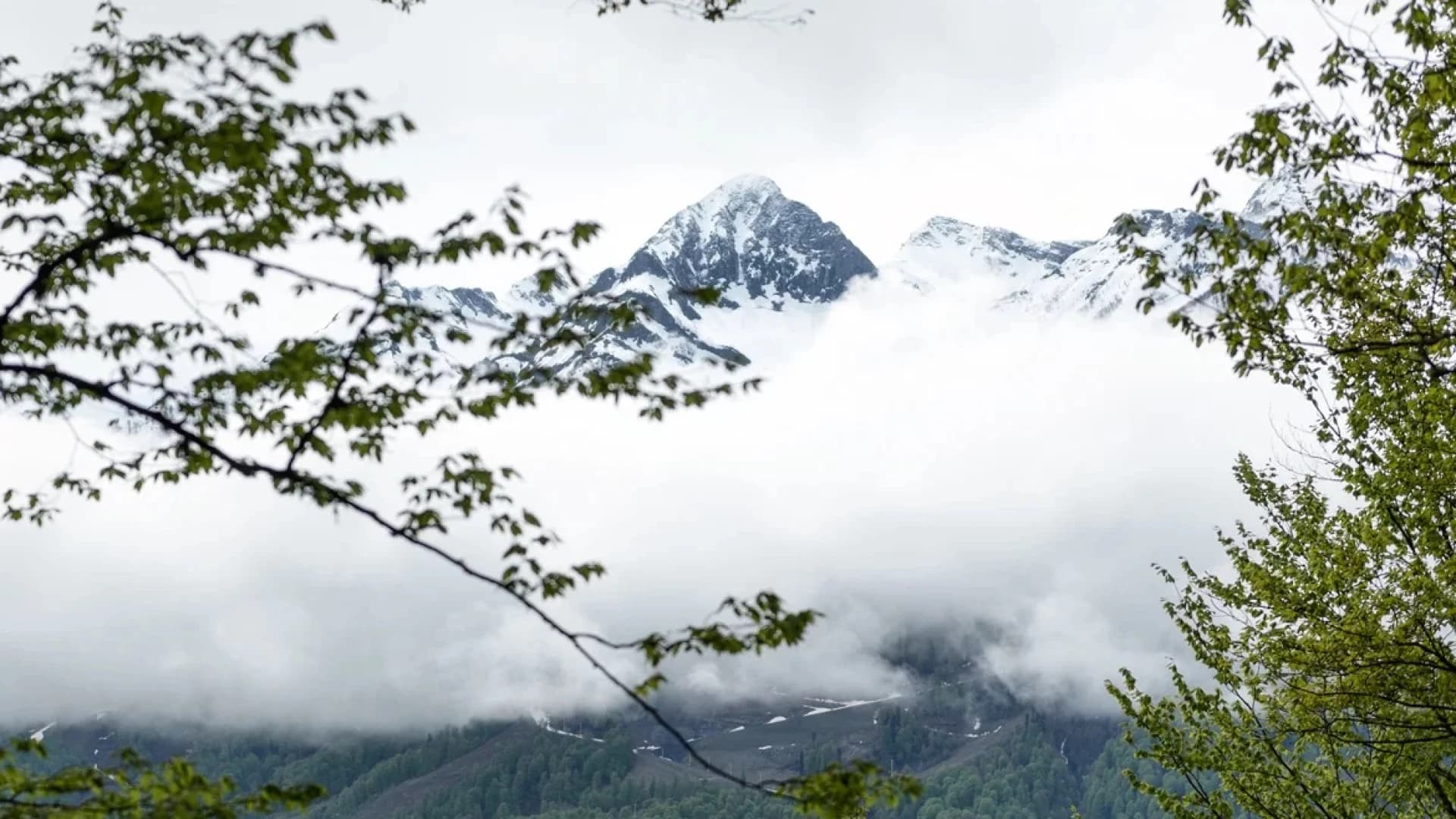 Изображение услуги2