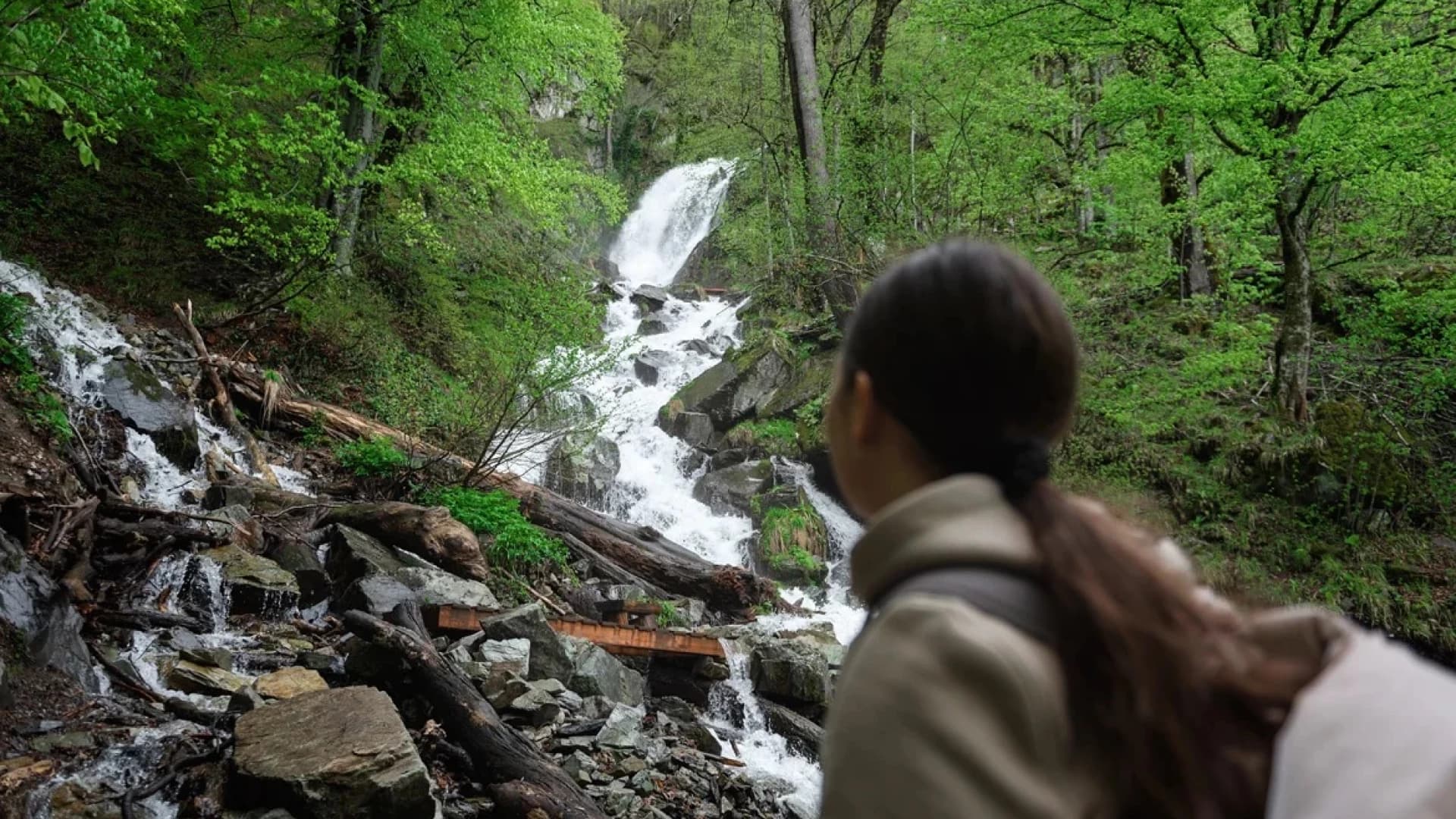 Изображение услуги3