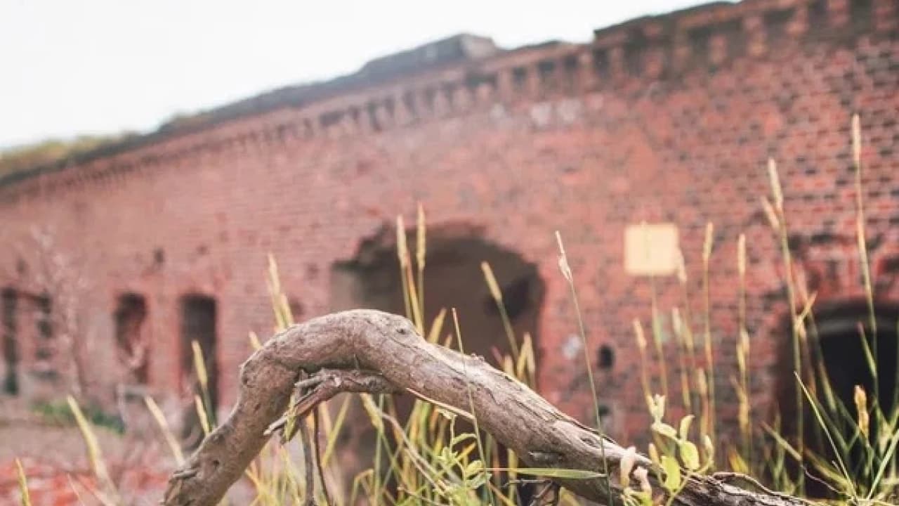 Изображение услуги3