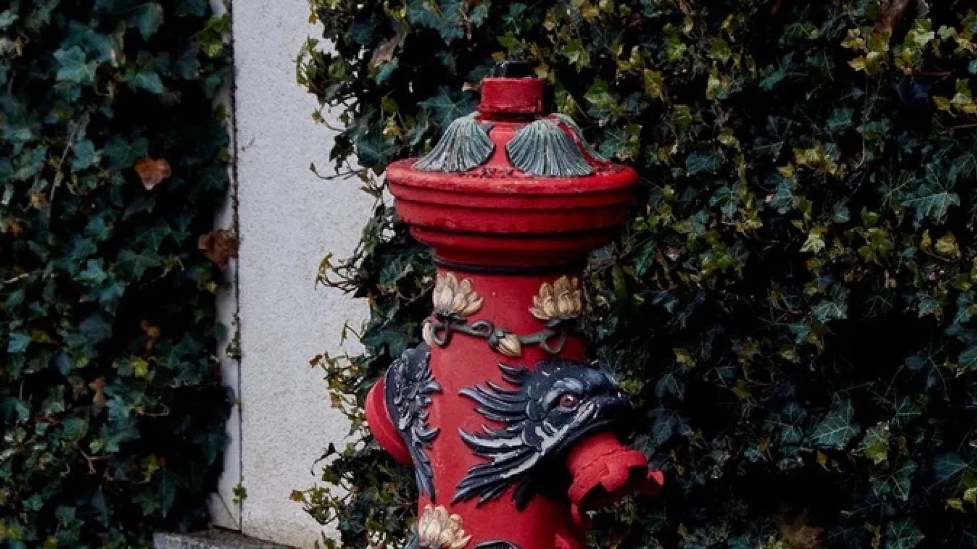 Изображение услуги3