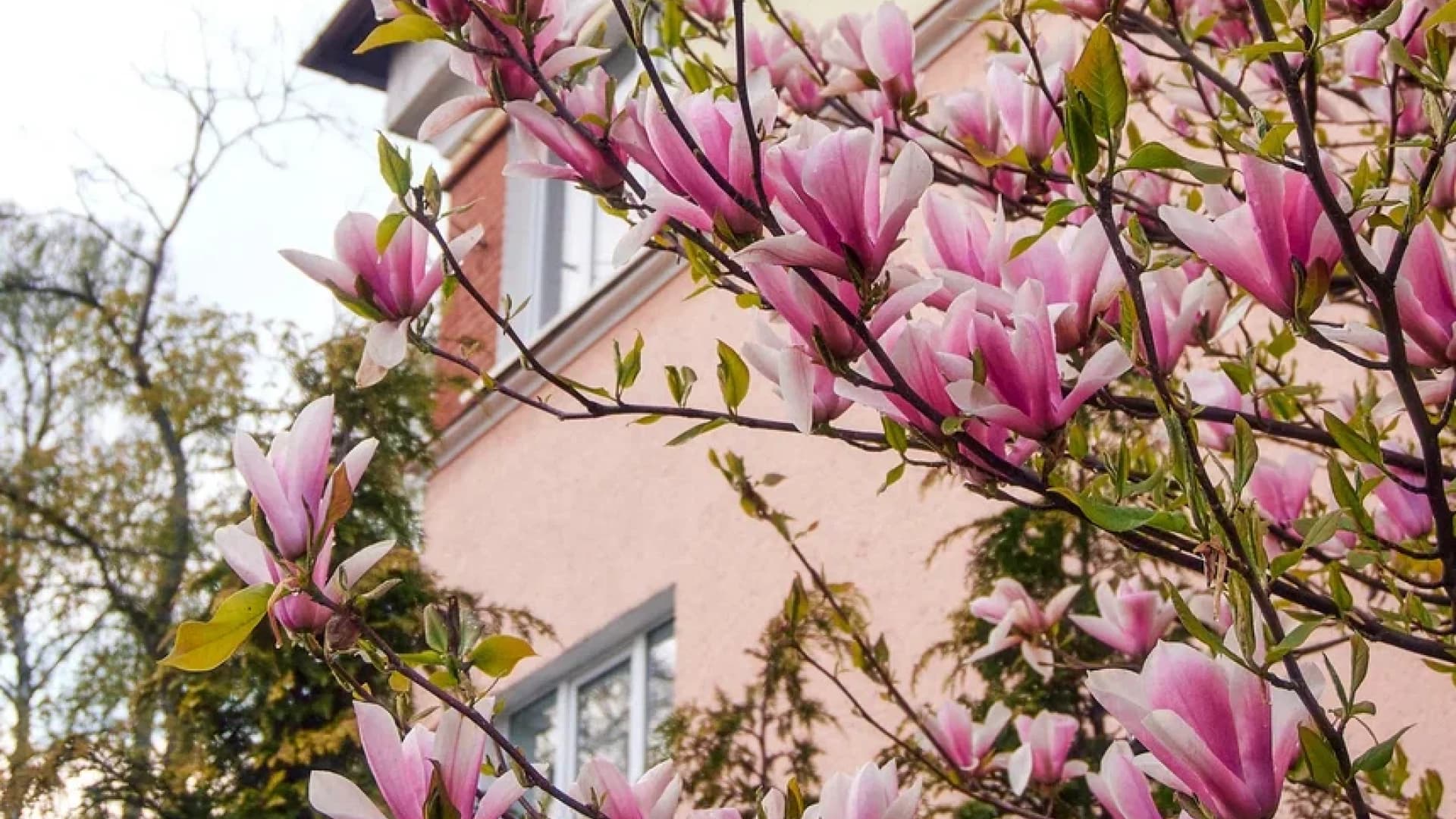 Изображение услуги4