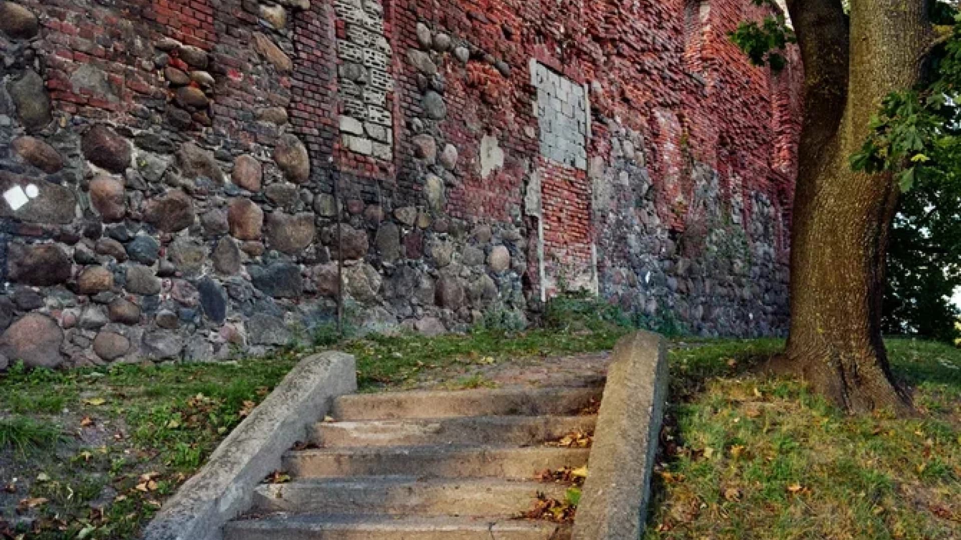 Изображение услуги2