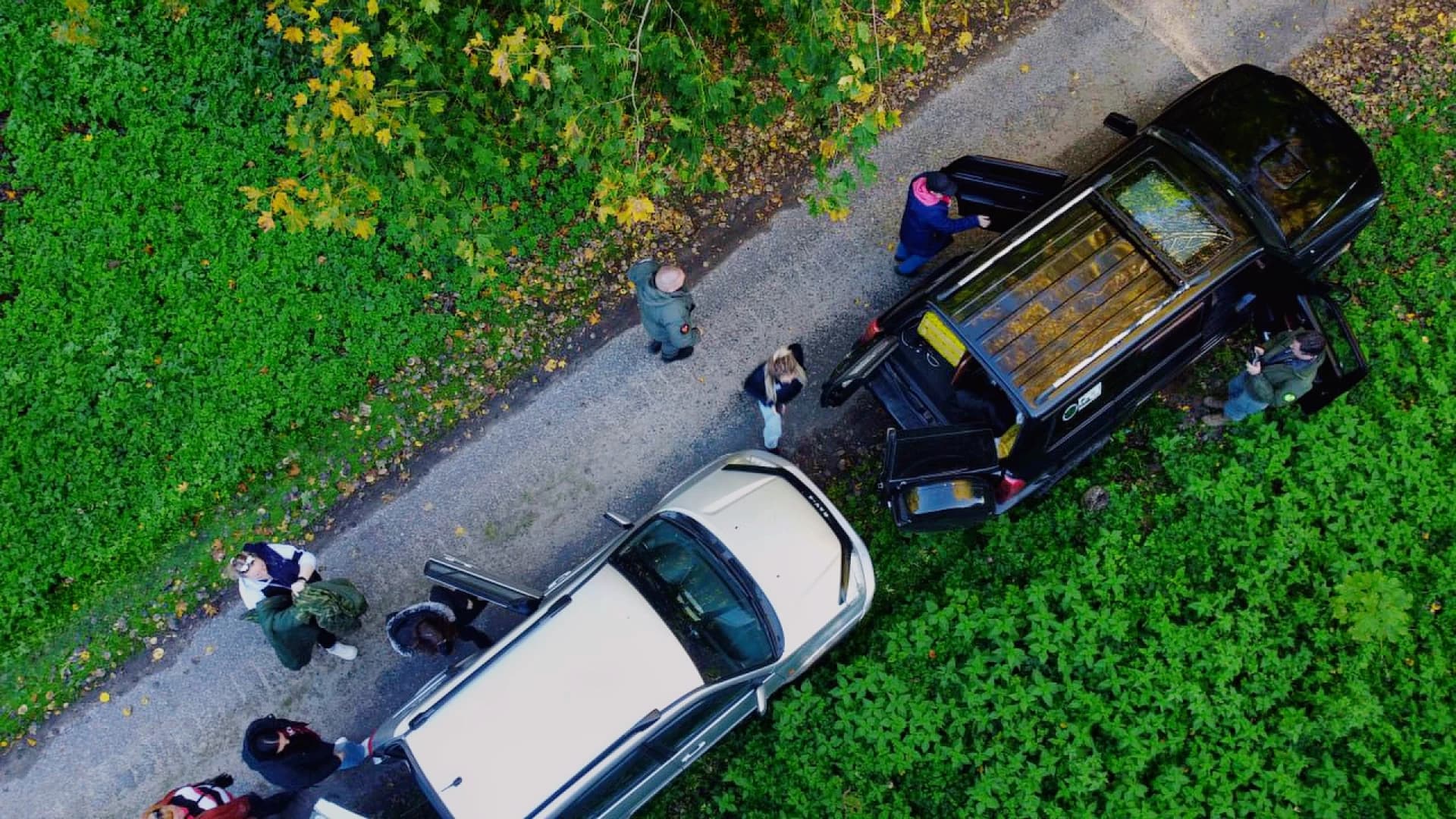 Изображение услуги6