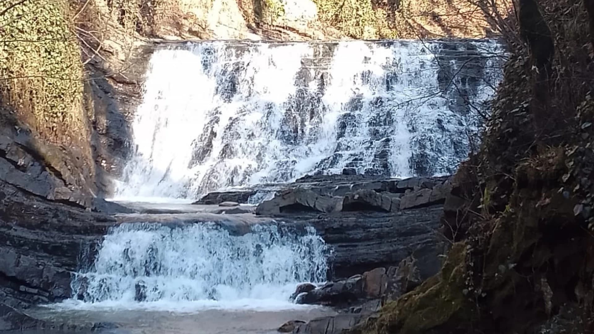 Изображение услуги2