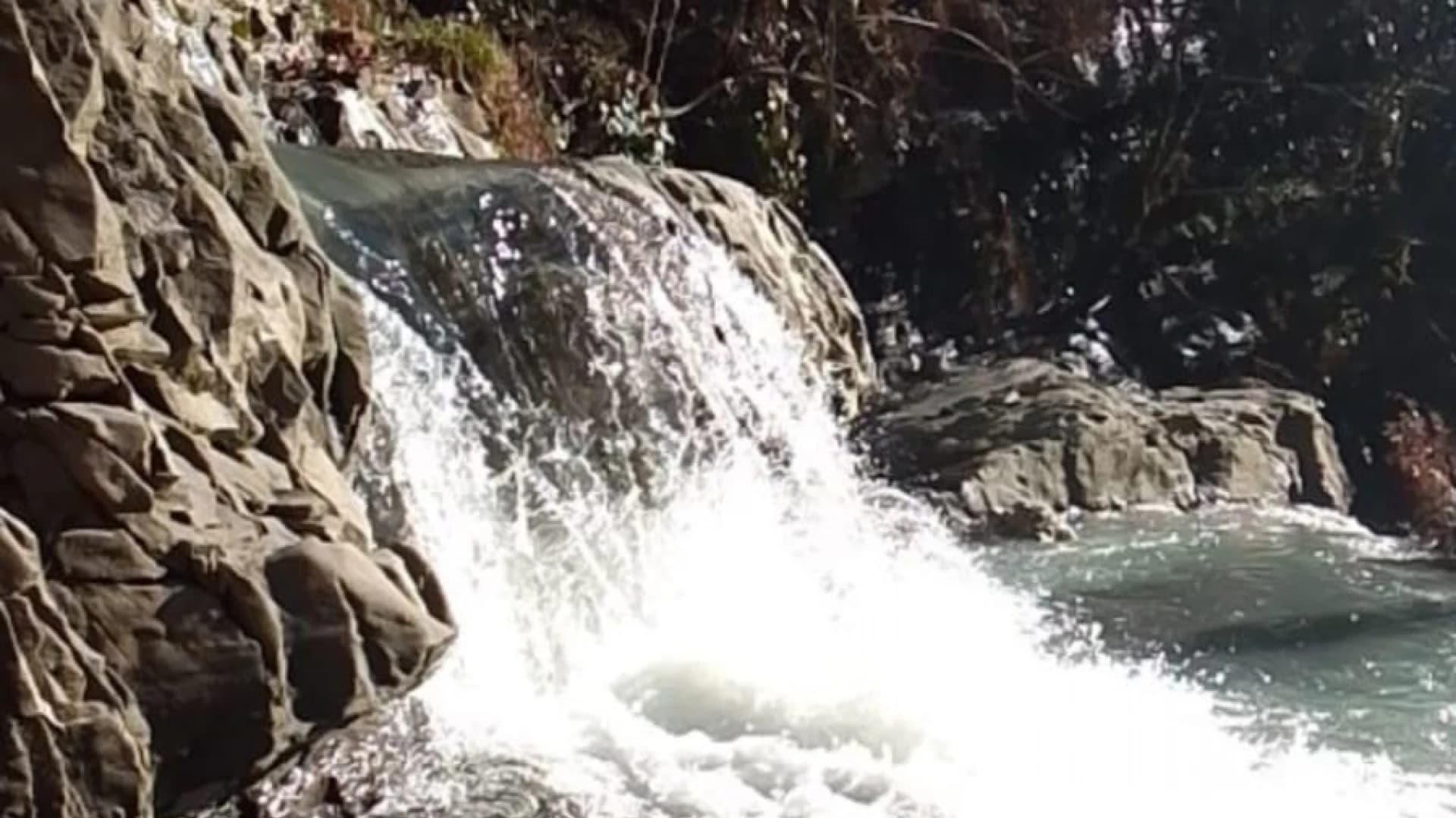 Изображение услуги3