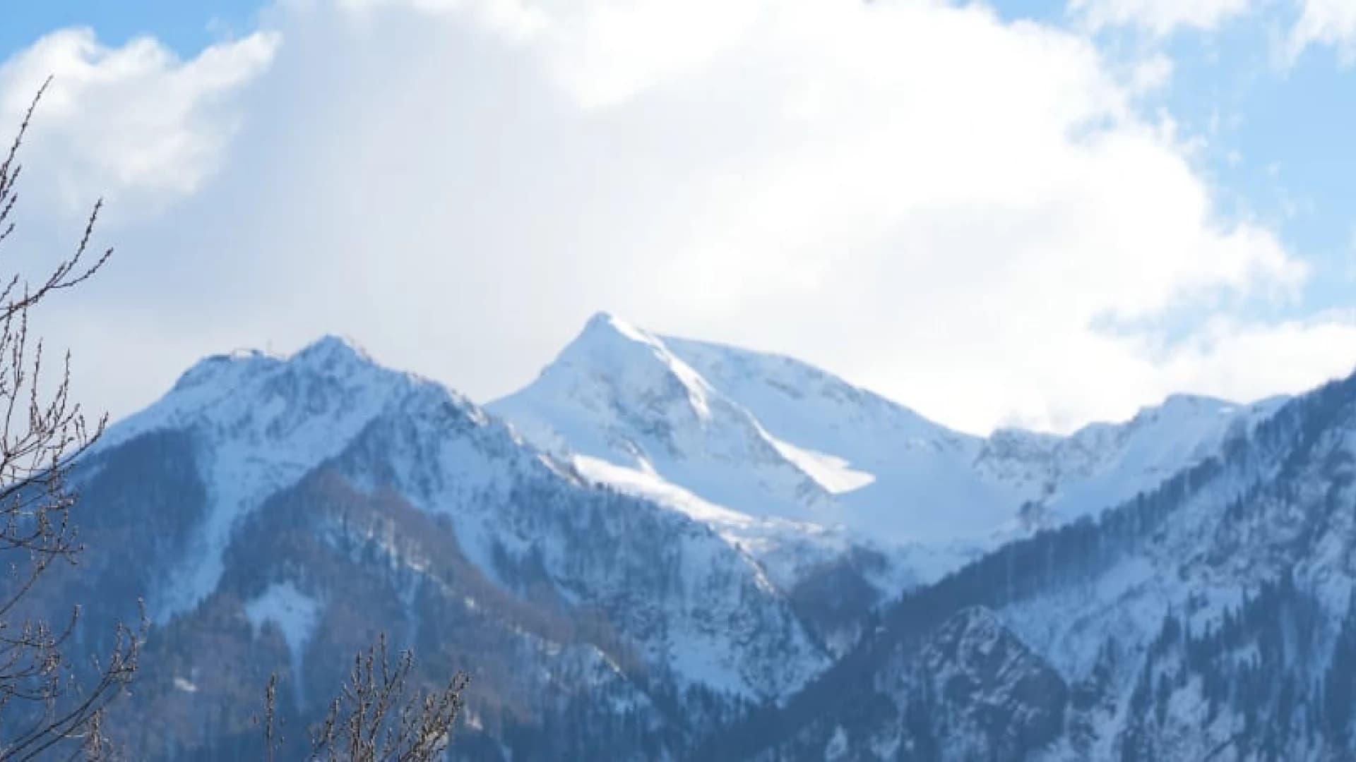 Изображение услуги2