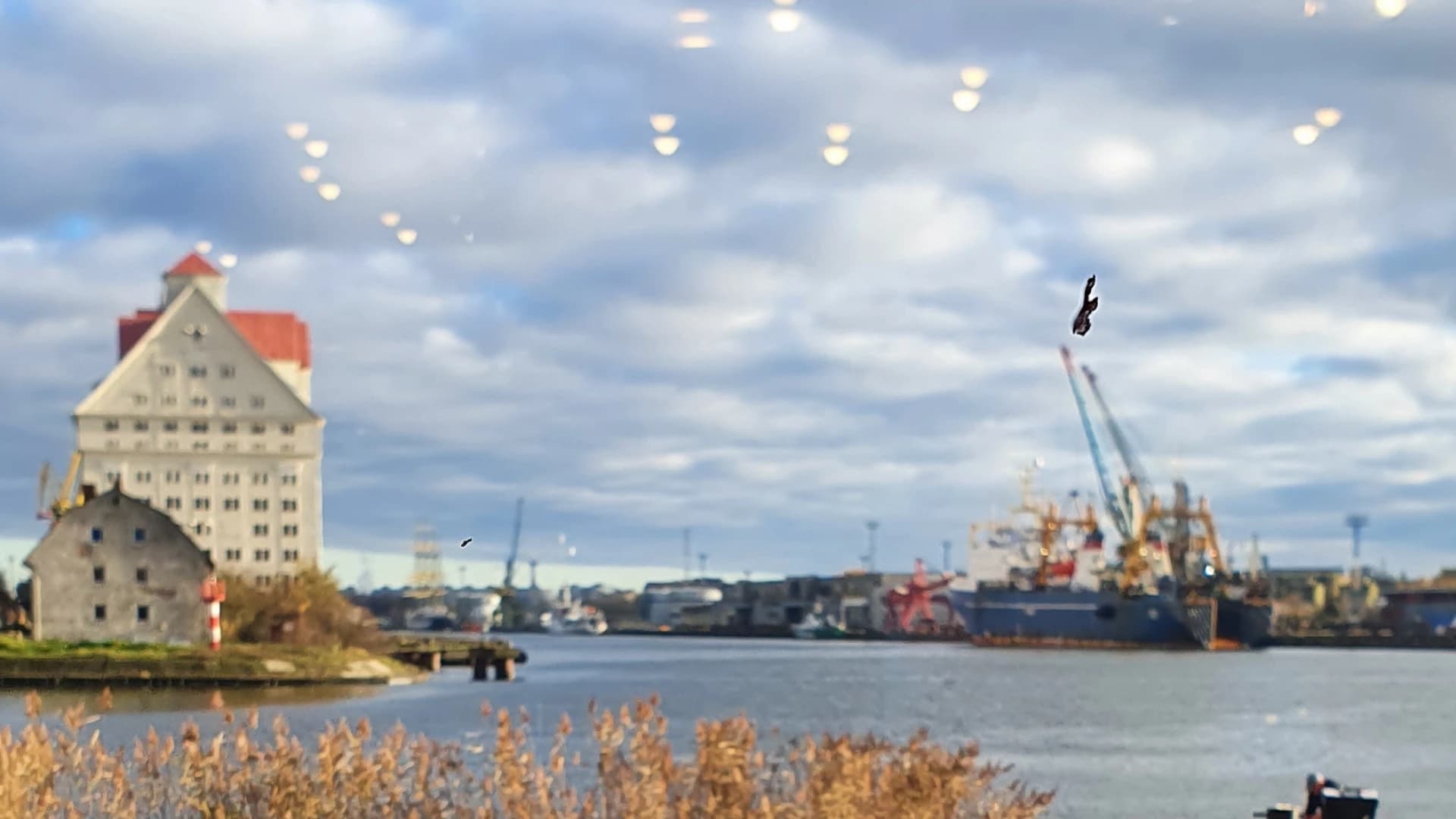 Изображение услуги4