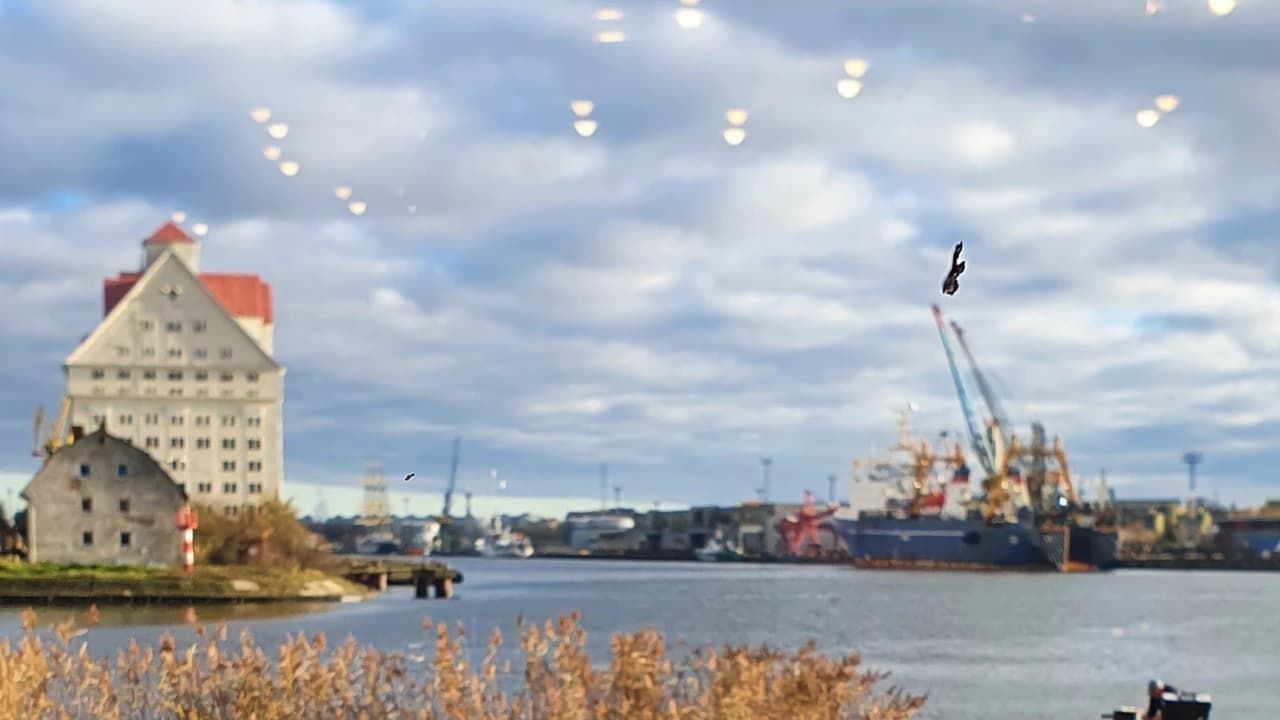 Изображение услуги4