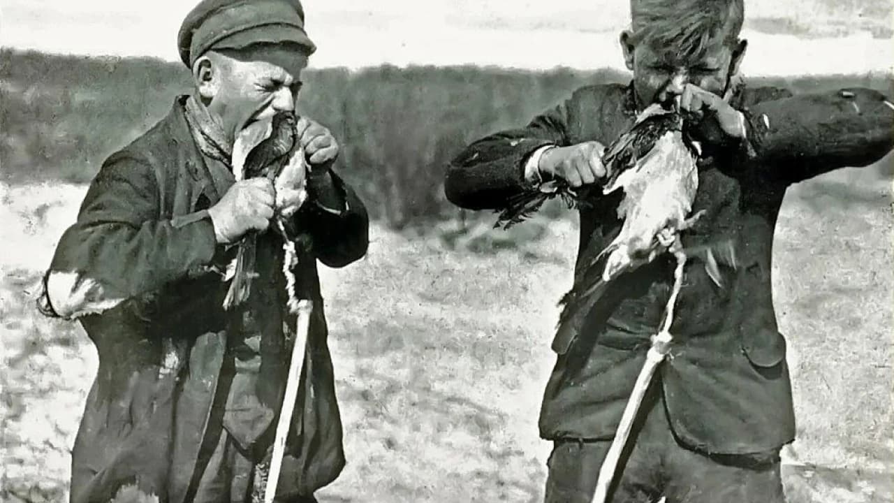 Изображение услуги8