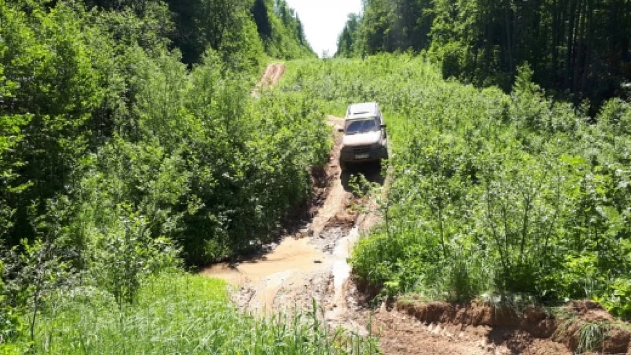 Изображение услуги5