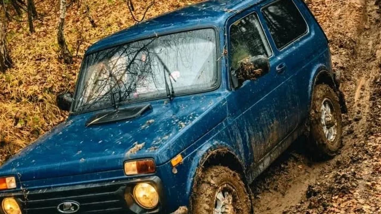 Изображение услуги6