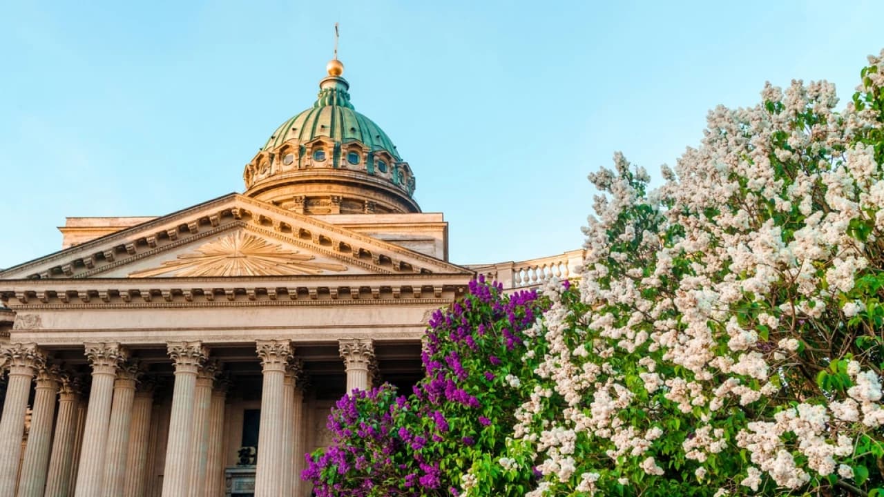 Изображение услуги1