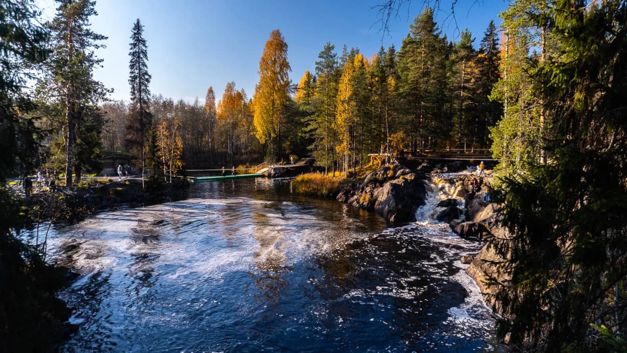 Изображение услуги5