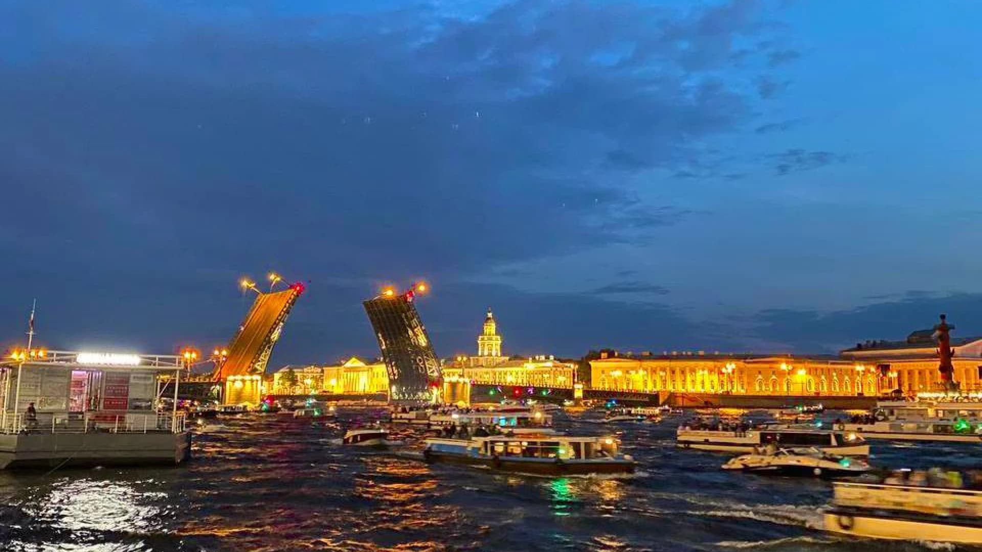 Индивидуальная обзорная экскурсия по Санкт-Петербургу (развод мостов)