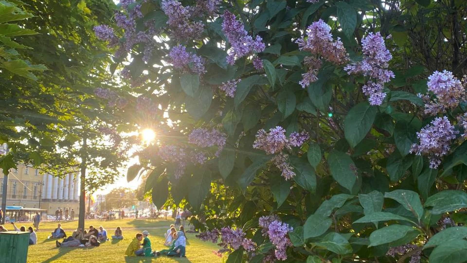 Изображение услуги2