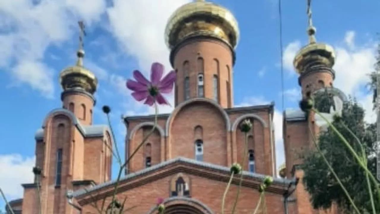 Изображение услуги1