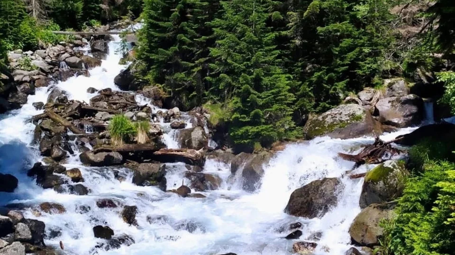 Изображение услуги4