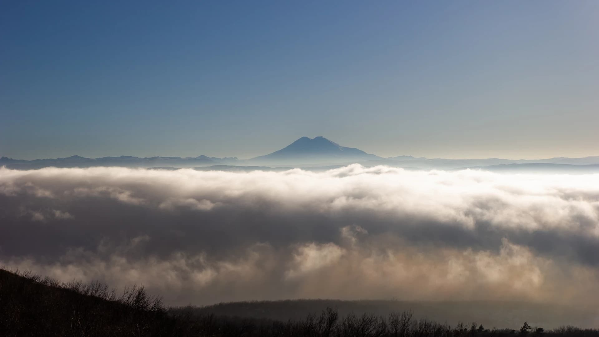 Изображение услуги5