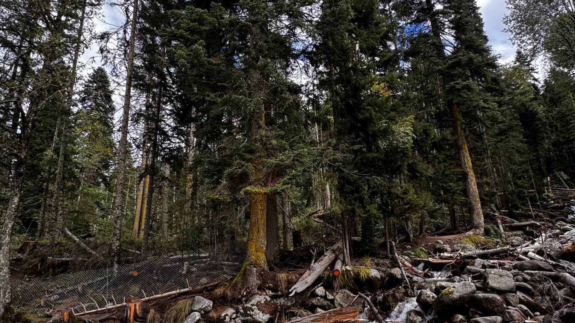 Изображение услуги2