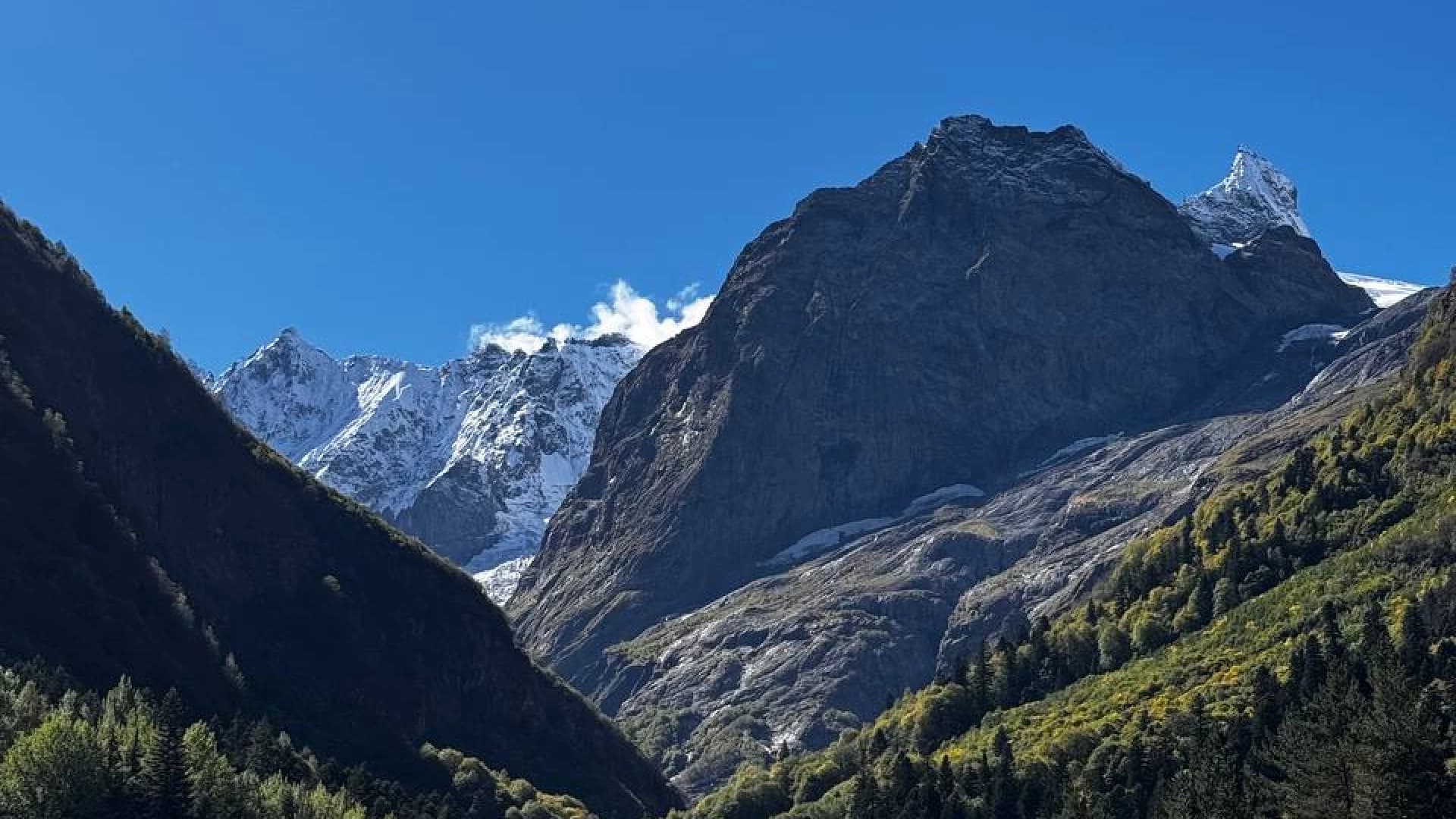 Изображение услуги5