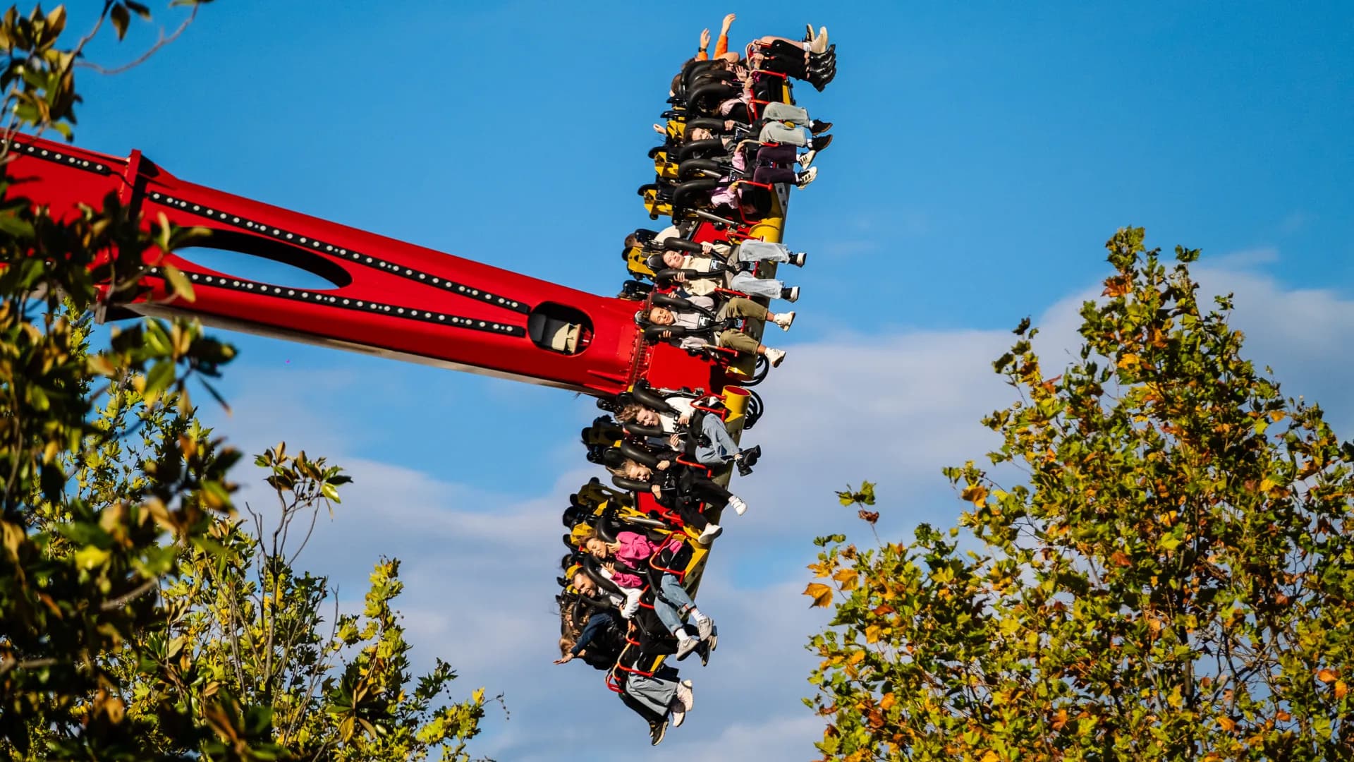 Изображение услуги3