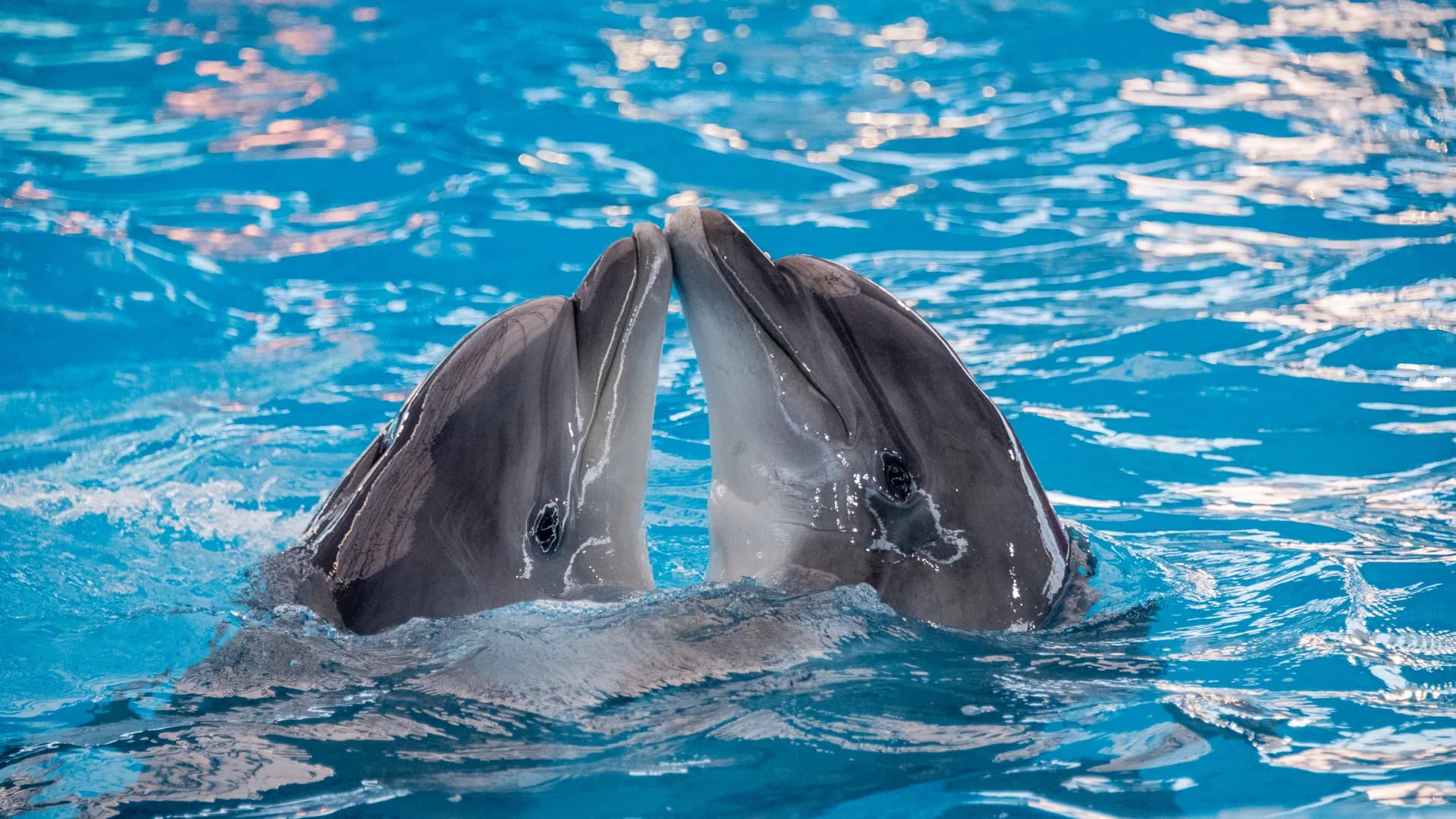 Изображение услуги8