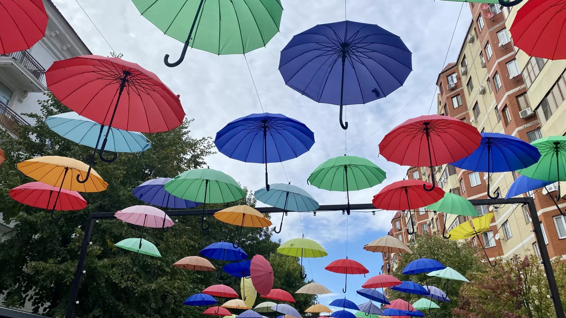 Изображение услуги4