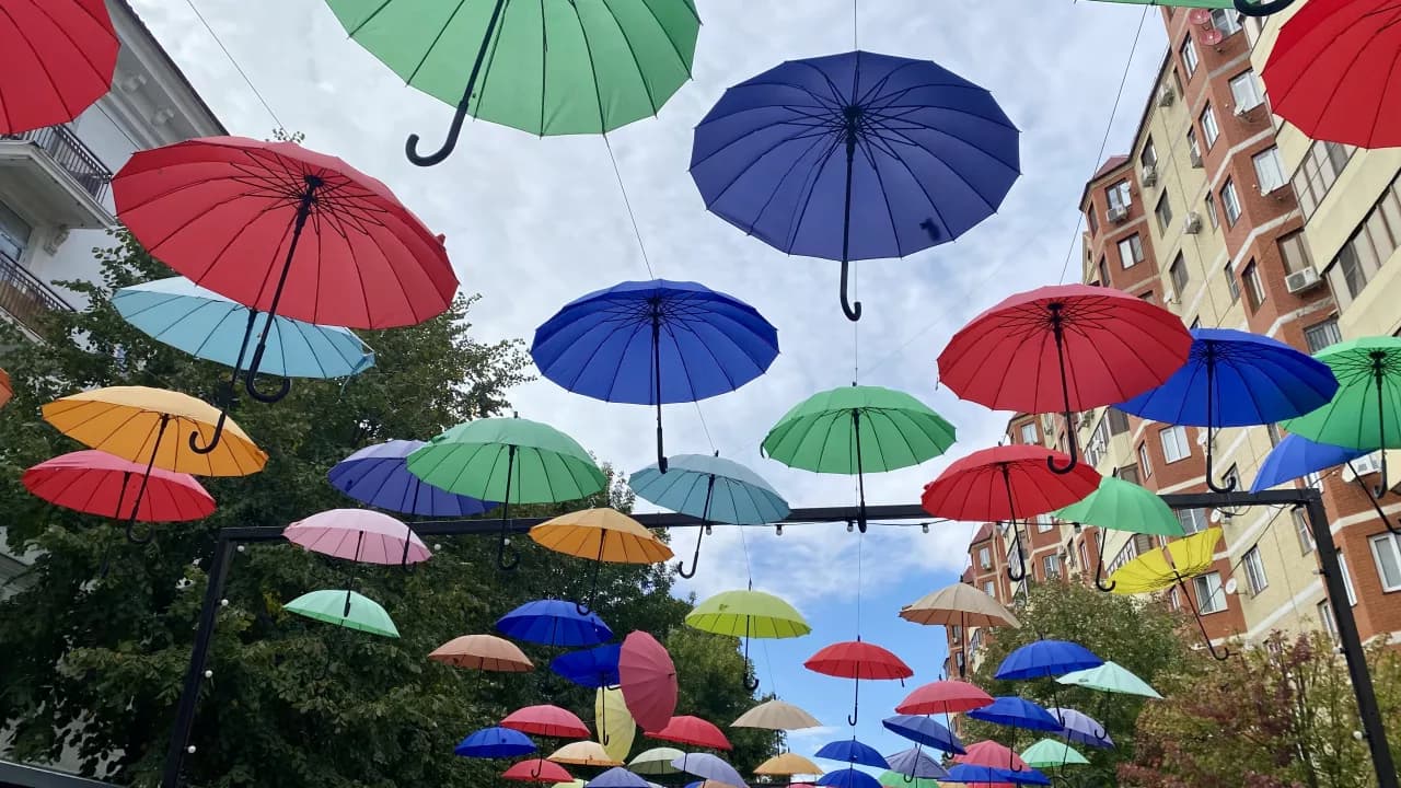 Изображение услуги4