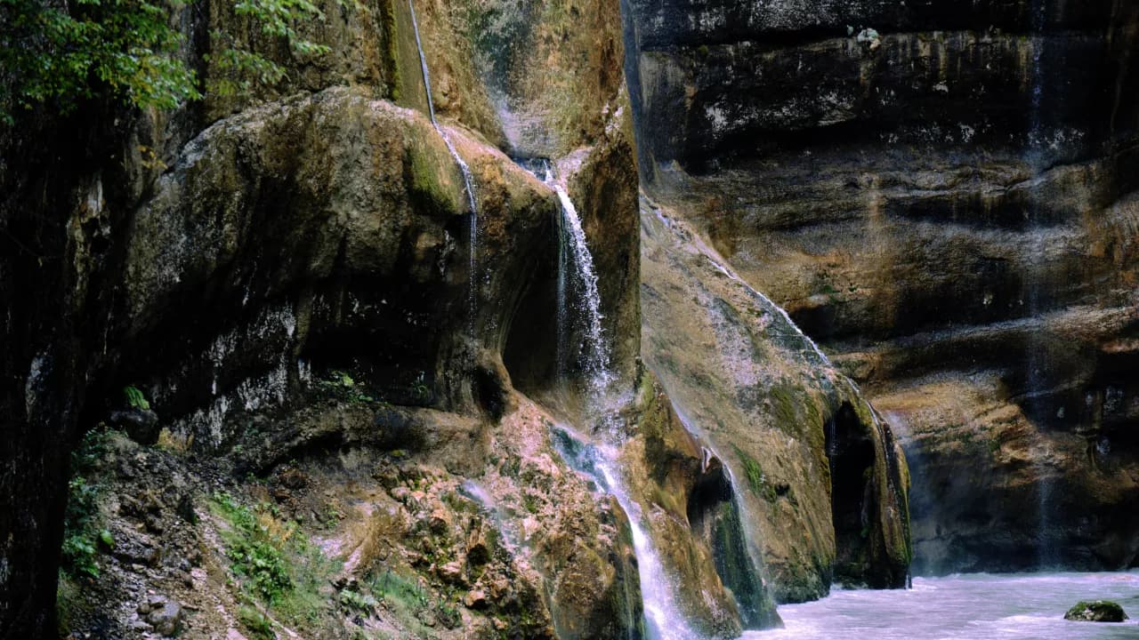 Изображение услуги4