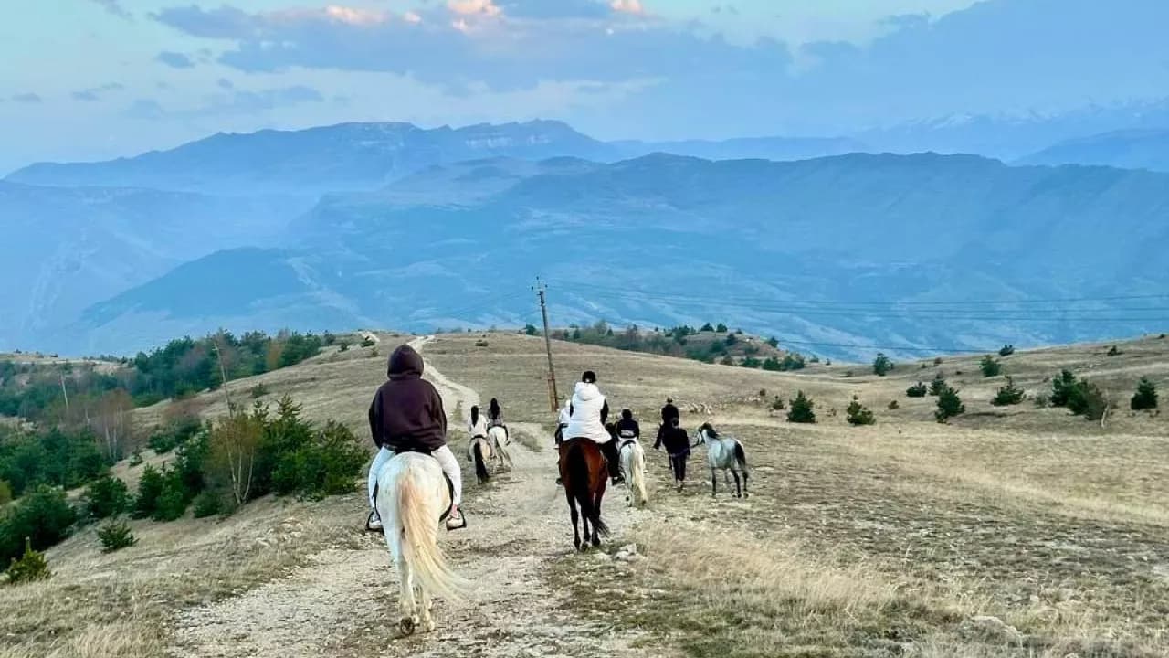 Изображение услуги2