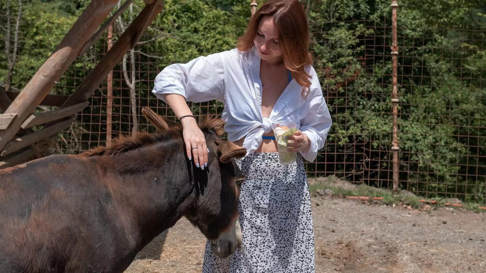 Изображение услуги5