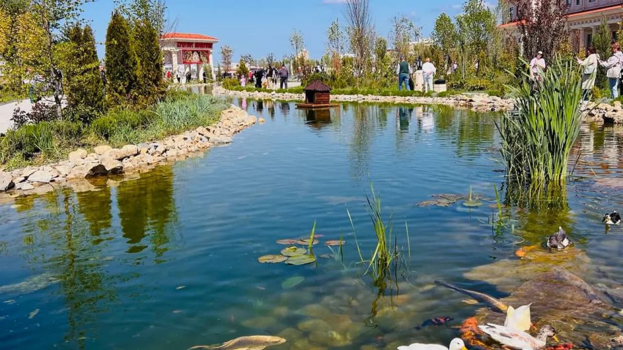 Изображение услуги3